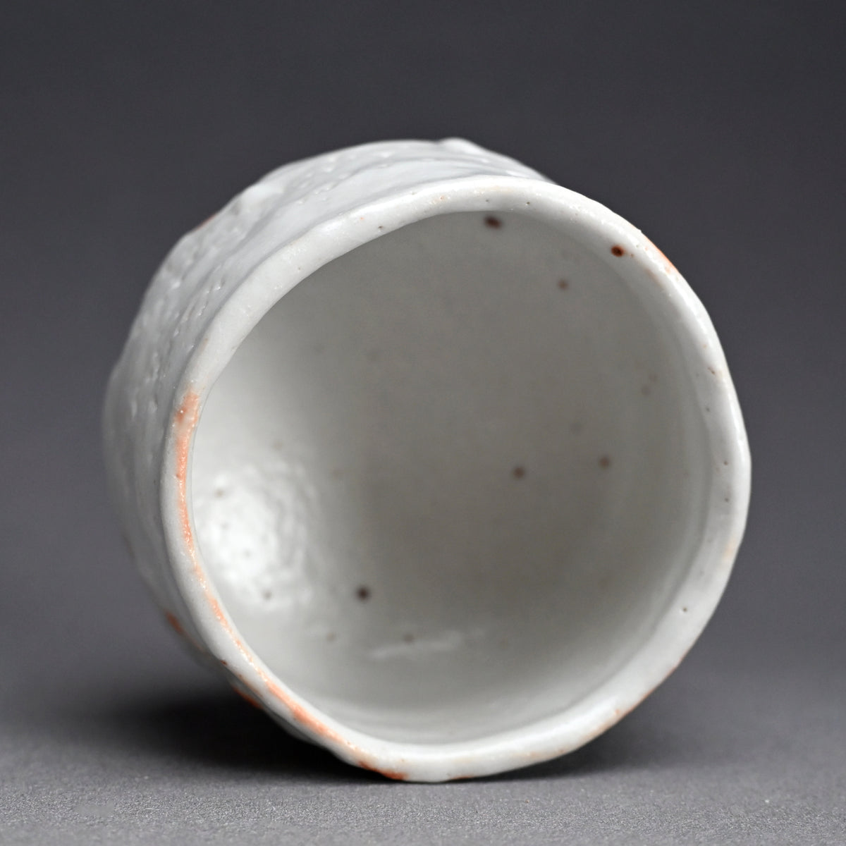 Snow White Shino Chawan Tea Bowl ー堀 一郎 “志野 茶盌”