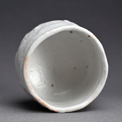 Snow White Shino Chawan Tea Bowl ー堀 一郎 “志野 茶盌”