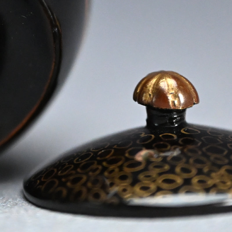 Toyoraku Kyusu Tea Pot