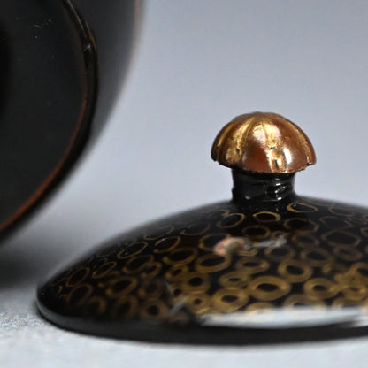 Toyoraku Kyusu Tea Pot