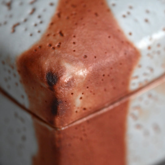 LNT Tobako Ceramic Box with Autumn Leaves ー鈴木 蔵 “志埜 陶筥”
