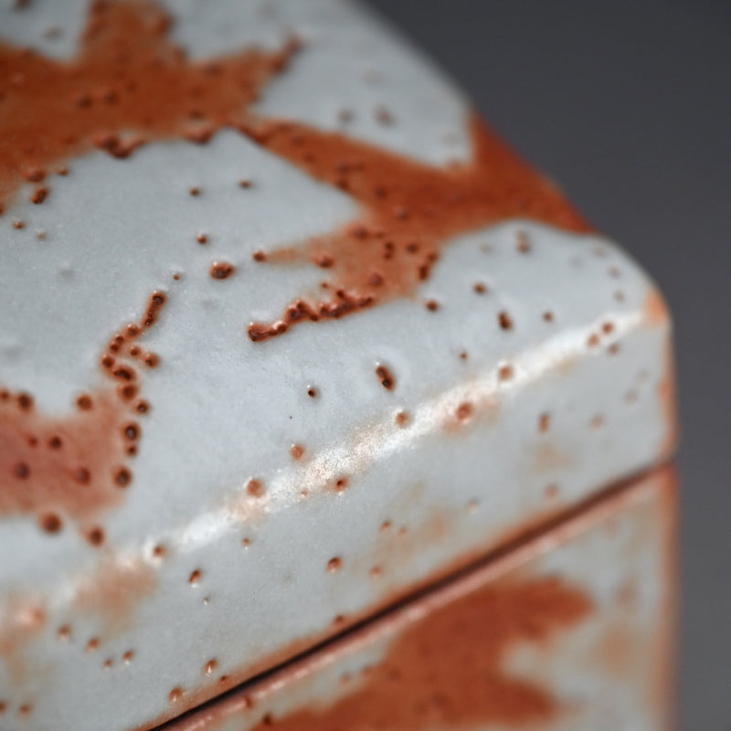 LNT Tobako Ceramic Box with Autumn Leaves ー鈴木 蔵 “志埜 陶筥”