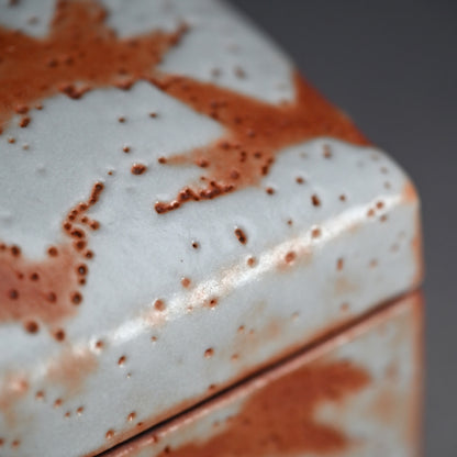 LNT Tobako Ceramic Box with Autumn Leaves ー鈴木 蔵 “志埜 陶筥”