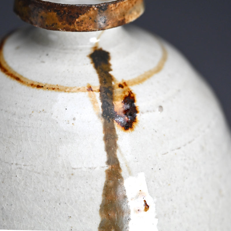 Exquisite Bottle Vase by LNT ー田村 耕一 “鉄絵壺”