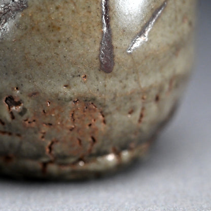 LNT Tokkuri Sake Flask ー清水 卯一 “鉄絵徳利”