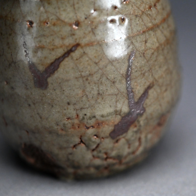 LNT Tokkuri Sake Flask ー清水 卯一 “鉄絵徳利”