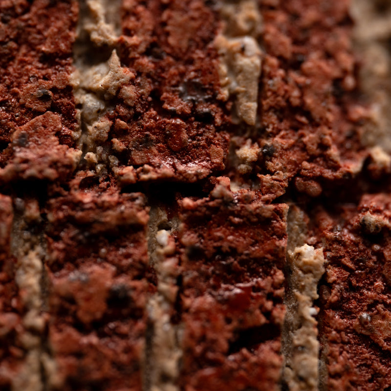 Contemporary Flower Basin ー加古 勝己 “棘座”