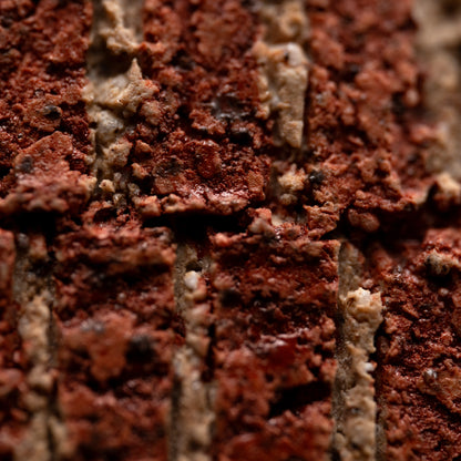 Contemporary Flower Basin ー加古 勝己 “棘座”