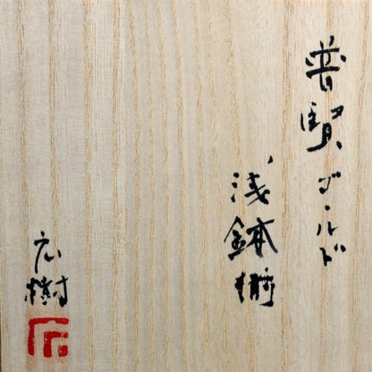 Exquisite 5 pc. Fugen Gold Bowl Set ー松下 広樹 “普賢ゴールド浅鉢揃”