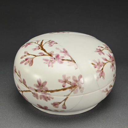 現代陶磁器 桜ー丹澤裕子「桜文陶筥」