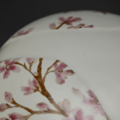 現代陶磁器 桜ー丹澤裕子「桜文陶筥」