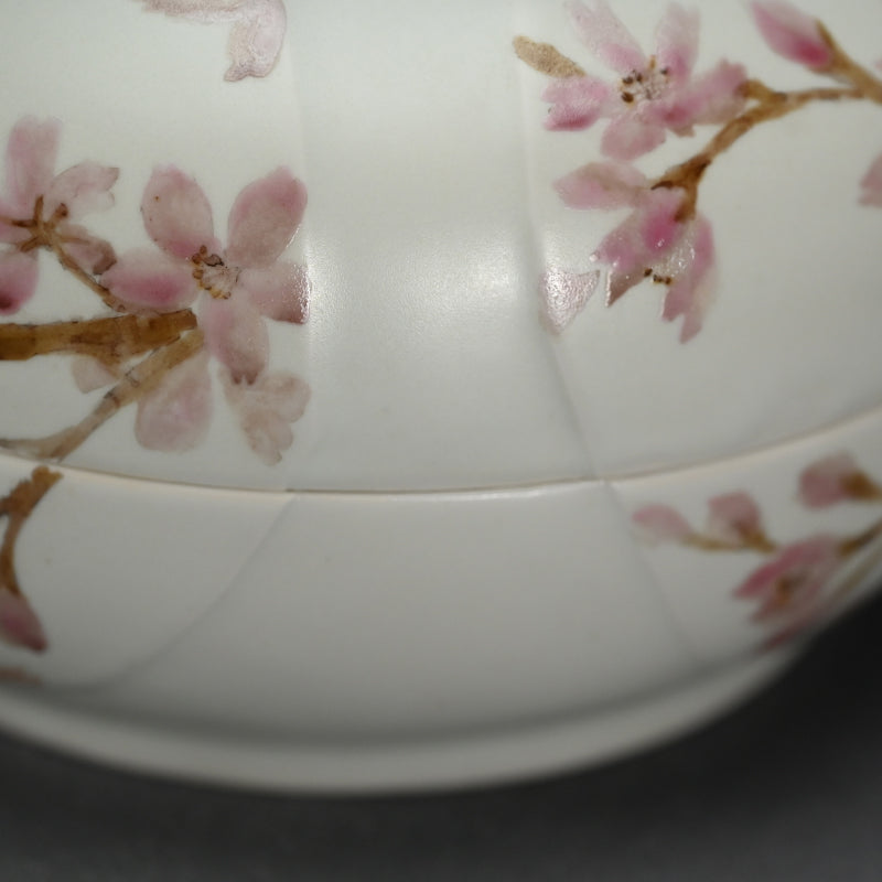 現代陶磁器 桜ー丹澤裕子「桜文陶筥」