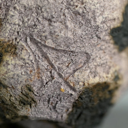 Sake cup Guinomi ー稲吉 オサム “白金彩刳貫 ぐい吞み”