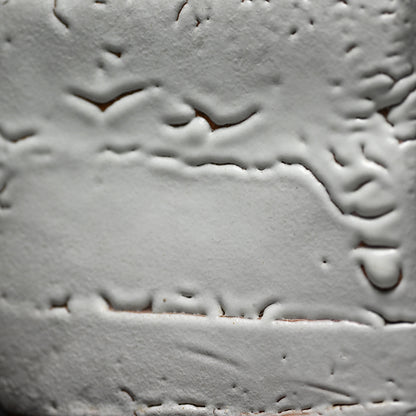 Contemporary Hagi Mizusashi, LNT ー十一代 三輪 休雪 "萩四方水指"