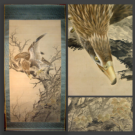 Taisho p. Museum Quality Scroll, Hawk ー鈴木 啓処 "枯木就鳥"