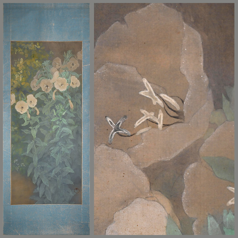 Evening Primrose ー藤森 青芸 “月見草之図”