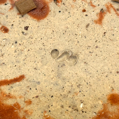 Bizen Flower Vessel ー隠崎 隆一 “花入”