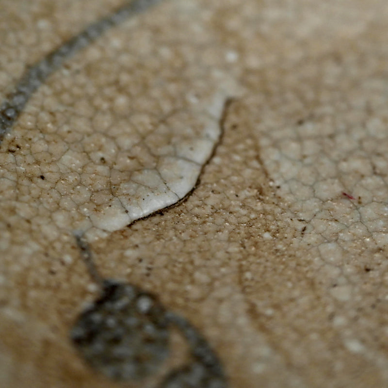 Antique Japanese Boxed Set 5 Shino Plates ー志野草花絵皿