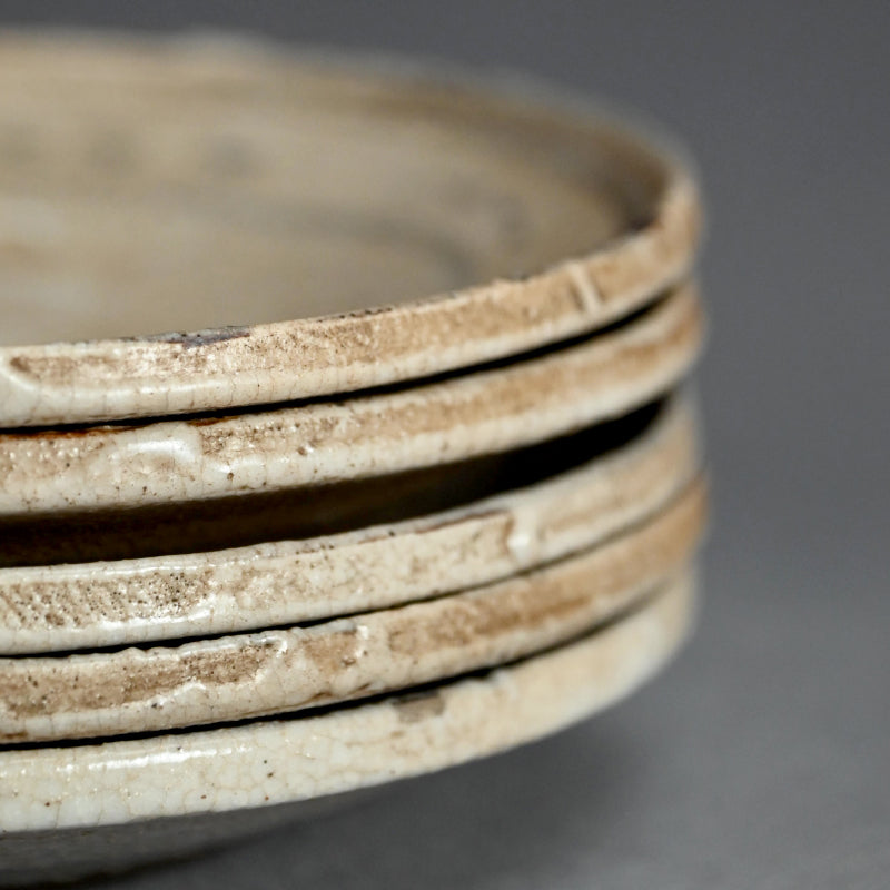 Antique Japanese Boxed Set 5 Shino Plates ー志野草花絵皿