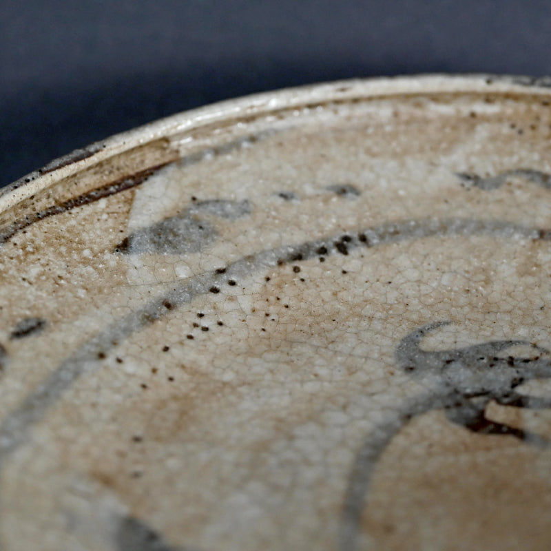 Antique Japanese Boxed Set 5 Shino Plates ー志野草花絵皿