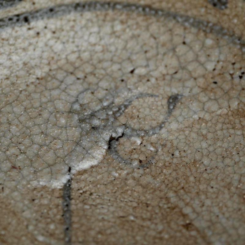 Antique Japanese Boxed Set 5 Shino Plates ー志野草花絵皿