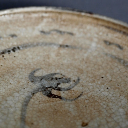 Antique Japanese Boxed Set 5 Shino Plates ー志野草花絵皿