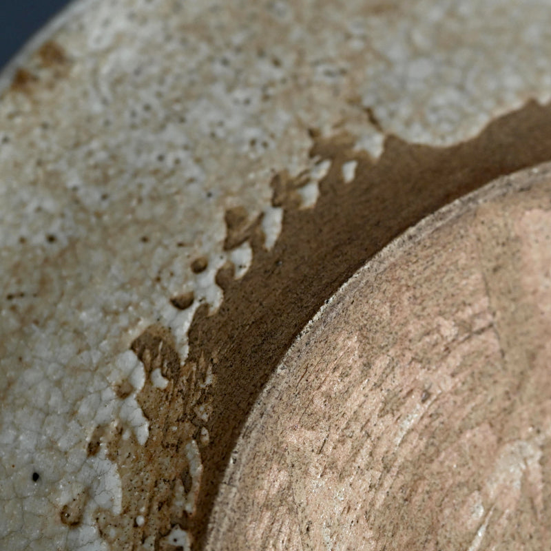 Antique Japanese Boxed Set 5 Shino Plates ー志野草花絵皿