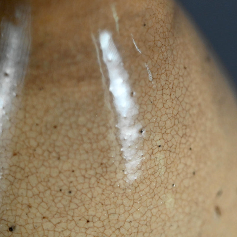 Antique Edo p. Japanese Pottery Flask, Asa-gao