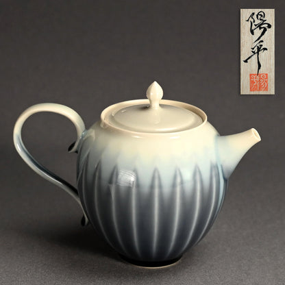 Exquisite Tea Pot ー永草 陽平 “流彩磁 ポット”