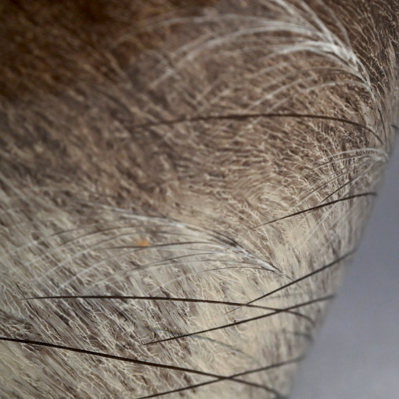 Masterpiece Utsutsukawa Vase ー十三代 横石 臥牛 “百鷲文 花瓶”