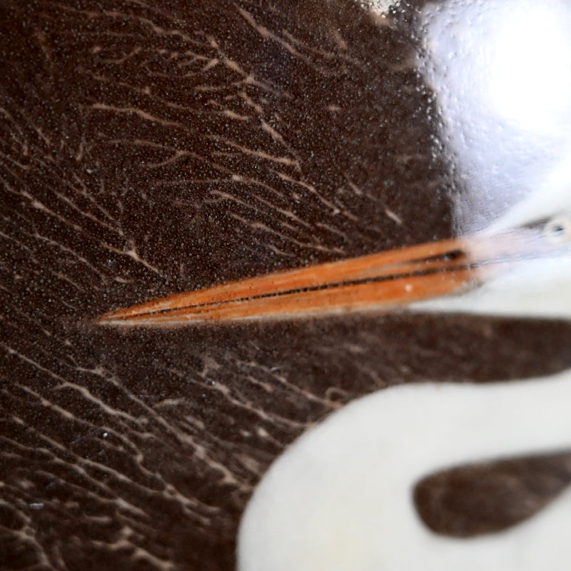 Masterpiece Utsutsukawa Vase ー十三代 横石 臥牛 “百鷲文 花瓶”