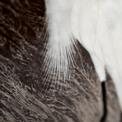 Masterpiece Utsutsukawa Vase ー十三代 横石 臥牛 “百鷲文 花瓶”