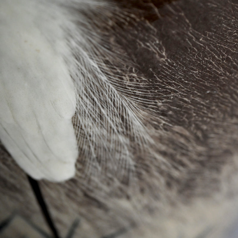 Masterpiece Utsutsukawa Vase ー十三代 横石 臥牛 “百鷲文 花瓶”