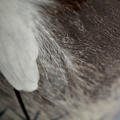 Masterpiece Utsutsukawa Vase ー十三代 横石 臥牛 “百鷲文 花瓶”