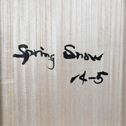 Spring Snow 14-5 ー星野 暁 "春の雪"