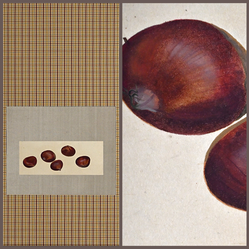 Mounted Hanging Scroll, Chestnut ー野村 耕 “栗”