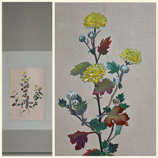 Hanging Scroll, Wild Chrysanthemum Sketch ー野村 耕 "野菊"