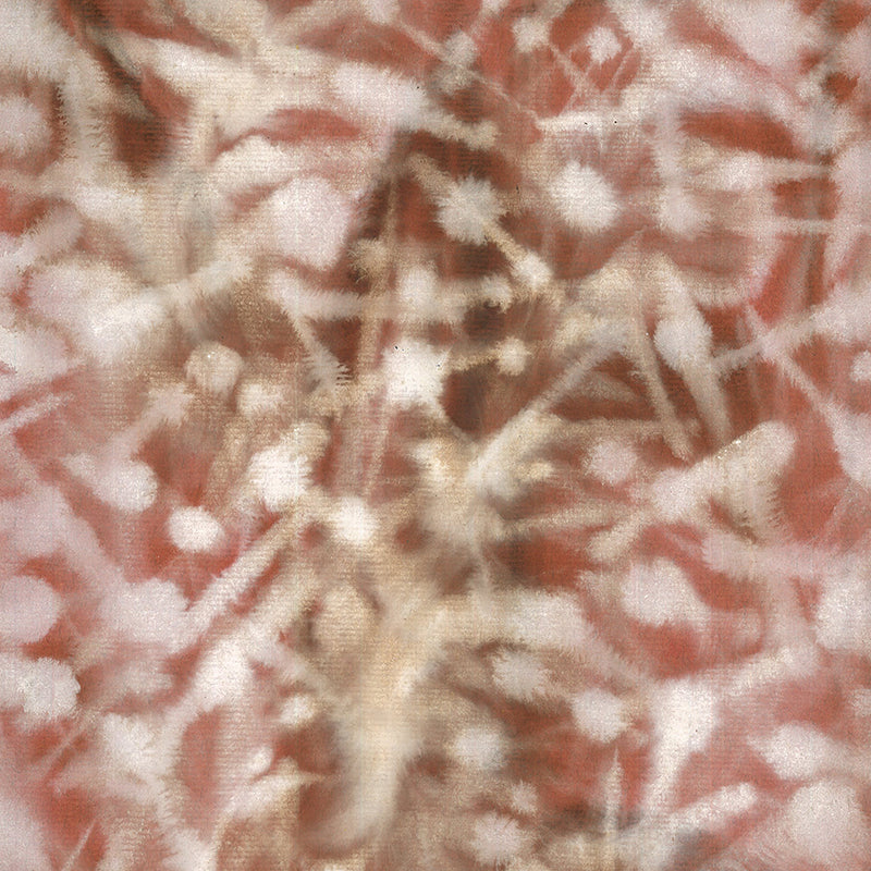 Untitled Monotype, 60 ー野村 耕