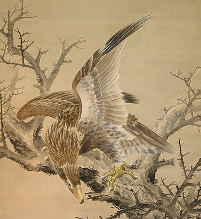 Hawk ー枯木就鳥