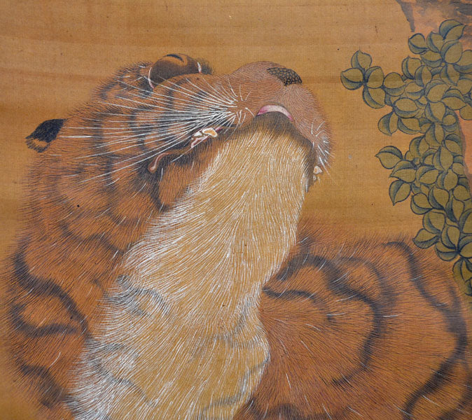 Nagasaki School Edo p. Tiger Scroll