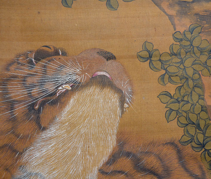 Nagasaki School Edo p. Tiger Scroll