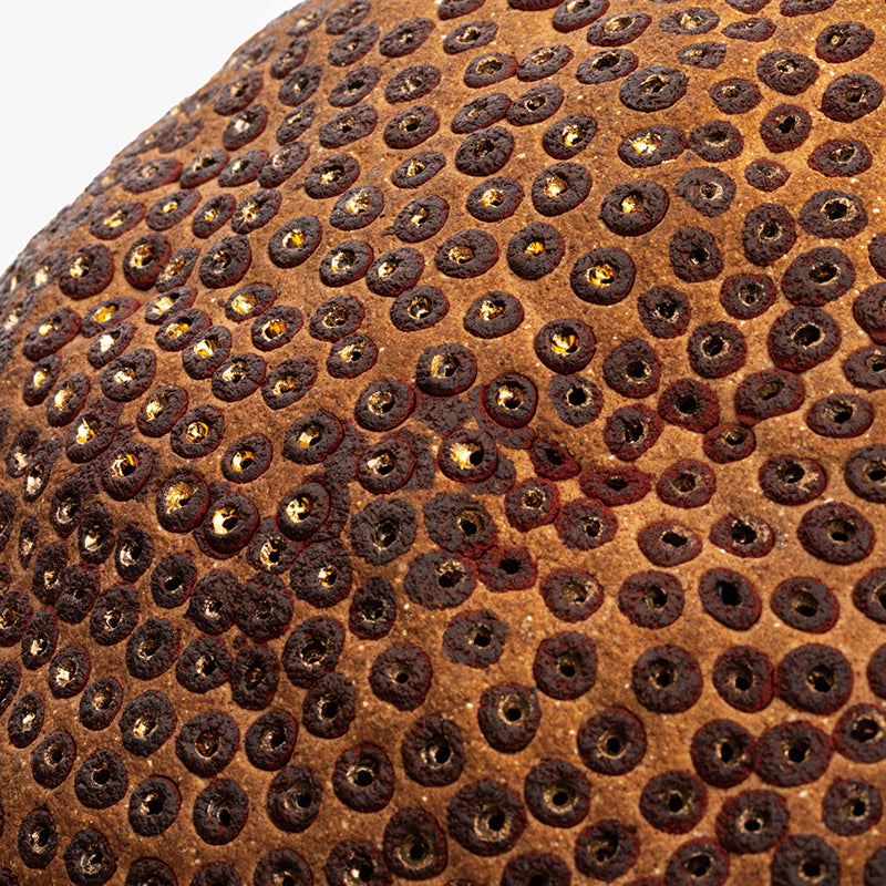 Skin of the earth Ⅳ ー向井 奈生子 “鼓動”